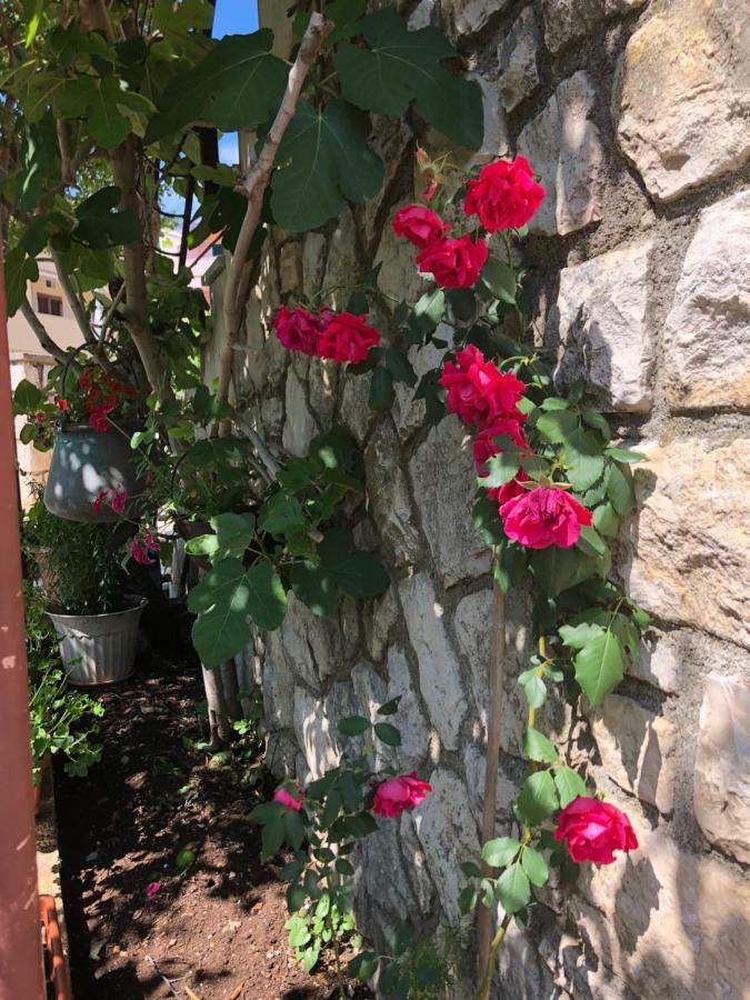 Appartement Ida Cres