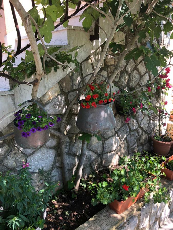 Apartments Ida Cres Cres